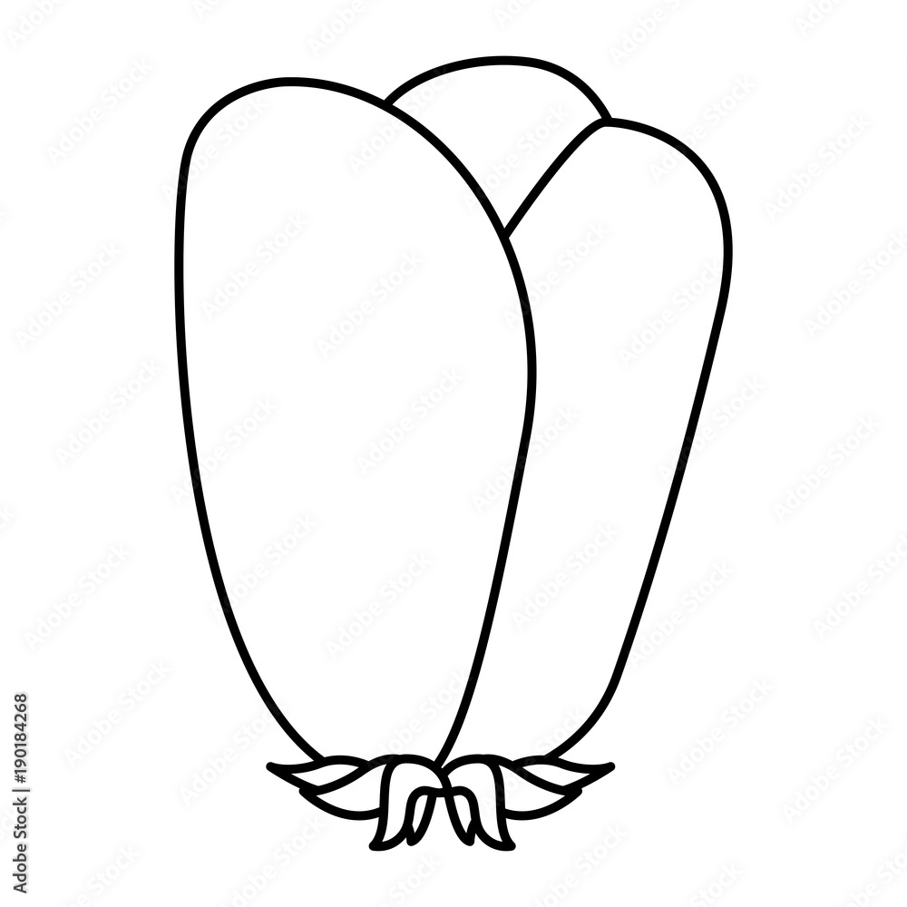 flower natural decoration ornament outline vector illustration outline design flower natural decoration ornament outline vector illustration outline design