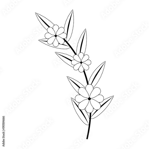 flower and leafs floral decoration vector illustration design © Gstudio