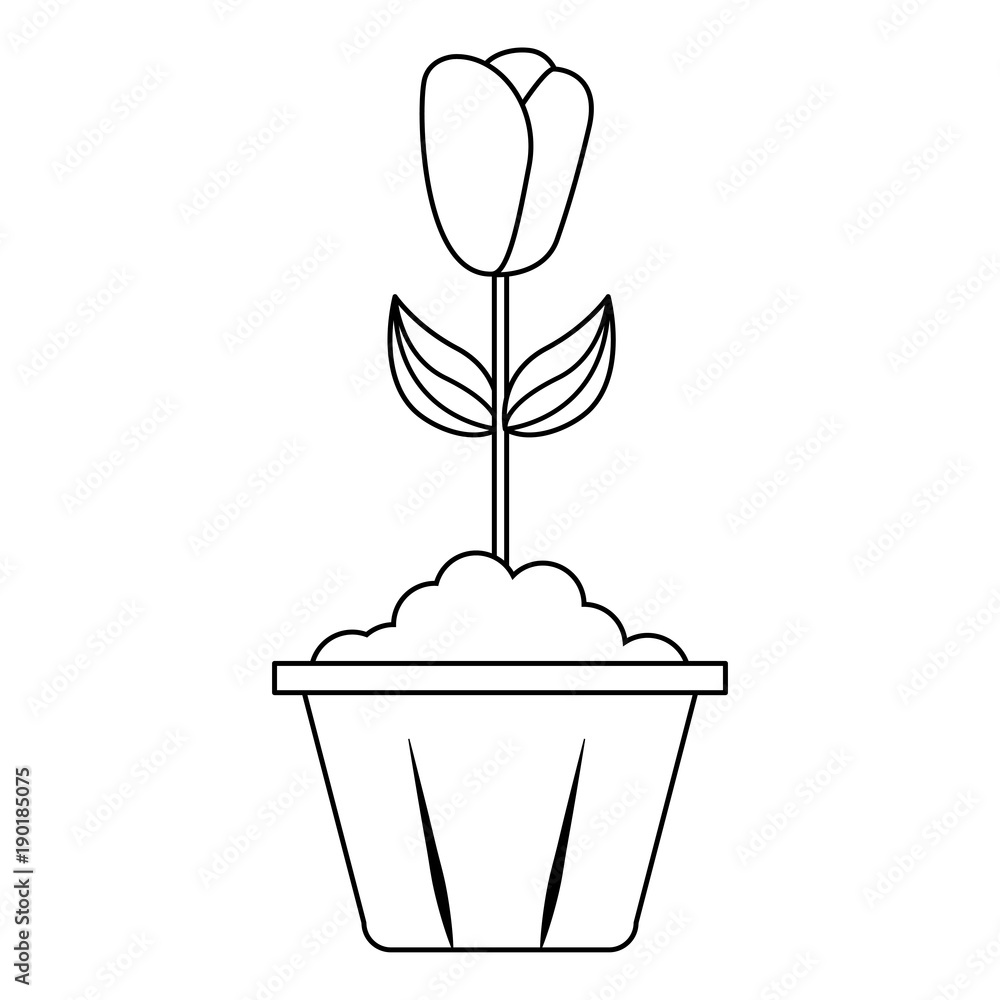 potted flower interior decoration garden spring vector illustration potted flower interior decoration garden spring vector illustration