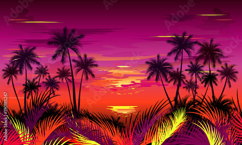 Sunset on tropical beach with palm trees and jungle foliage. Hand drawn vector illustration.