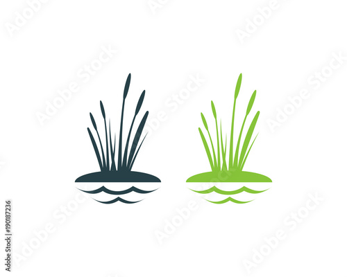 Cattails Plants Above the Water Illustration Symbol Logo Vector