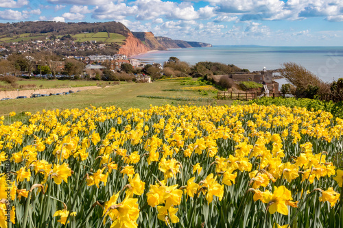 Obraz na płótnie Sidmouth, Dorset, England w salonie