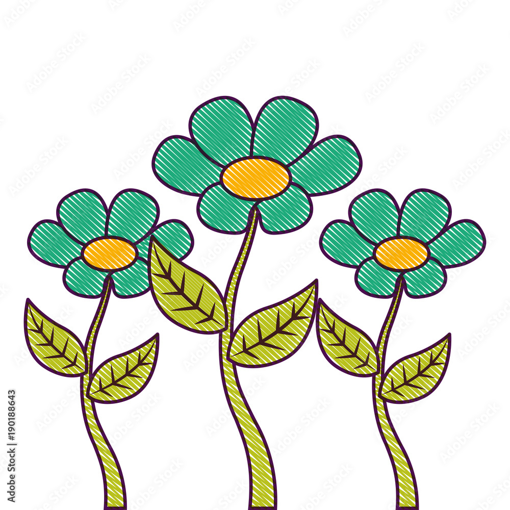 decoration three stem petal flower leaf botanical vector illustration