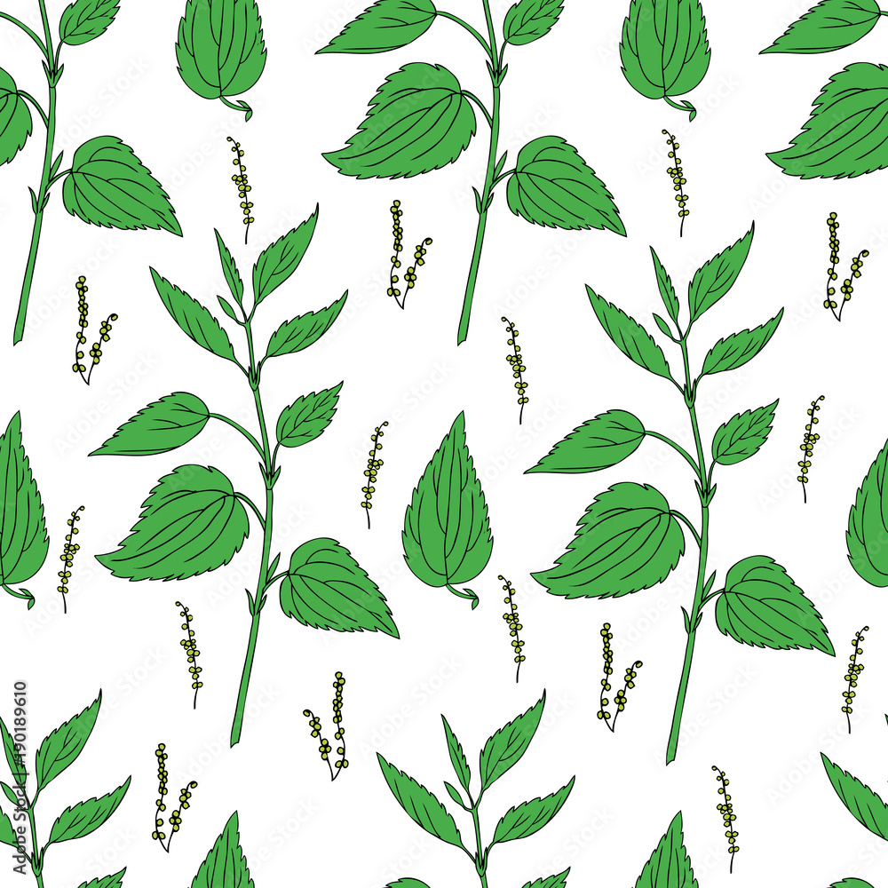 Seamless floral vector pattern, Nettle wild field flower isolated on white background, hand drawn sketch colorful illustration Urtica dioica for design package tea, cosmetic, natural medicine, textile