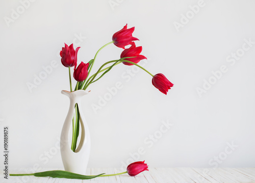 red tulips in vase on white background