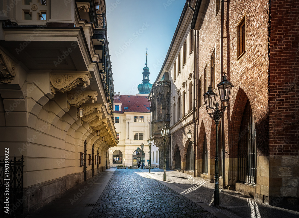 Fototapeta premium Widok na budynek Uniwersytetu Karola w Pradze, Czechy.