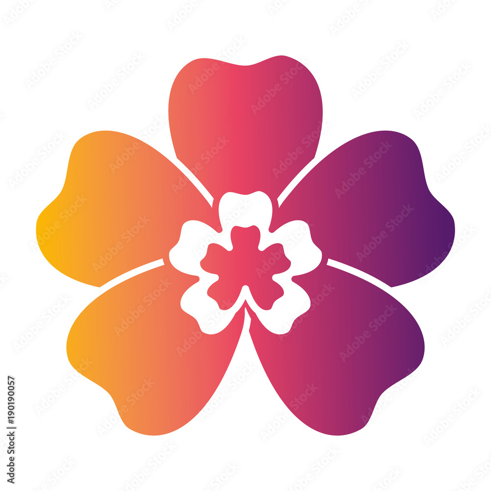 flower natural decoration ornament spring icon vector illustration flower natural decoration ornament spring icon vector illustration