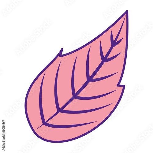 natural leaf botanical spring image vector illustration pink image design