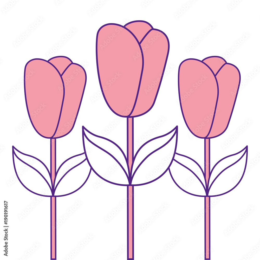 decoration three stem petal flower leaf botanical vector illustration pink image design