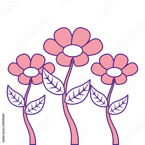 decoration three stem petal flower leaf botanical vector illustration pink image design