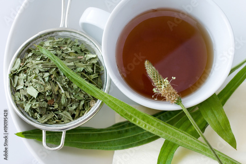 homemade remedy - herbal plantain tea (plantago lanceolata) - health care and medical treatment