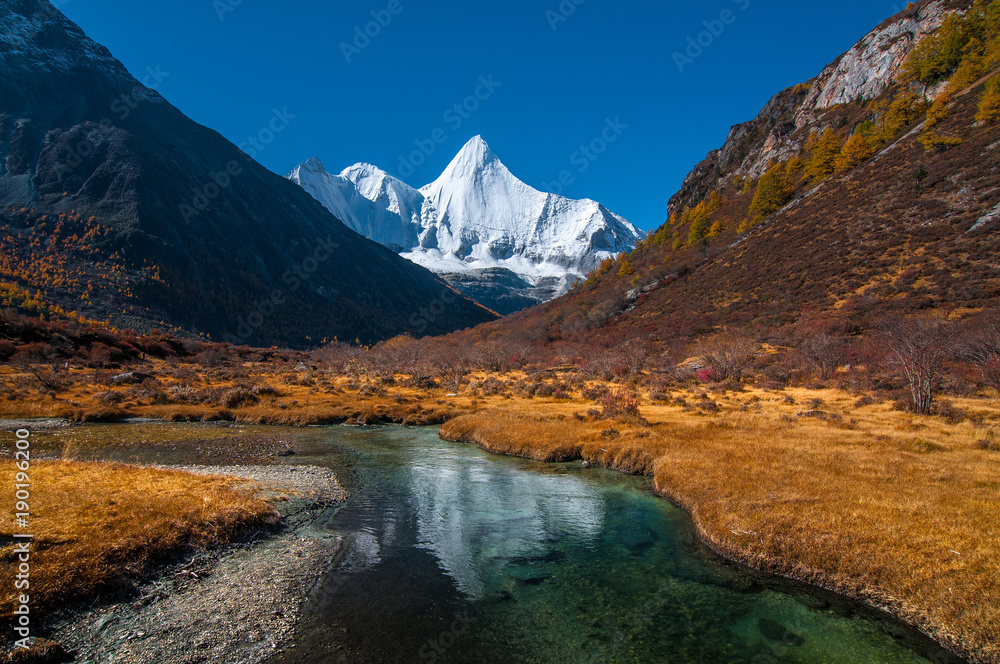 Autumn scenery in Yading Nature Reserve, Daocheng county, Ganzi Tibetan Autonomous Prefecture, Sichuan province of China. The holy peak Yangmaiyong (Jampelyang) can been seen in the background