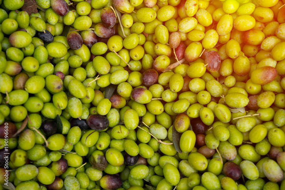 Close-up - small green and brown olives. Background image. Conceptual wallpaper