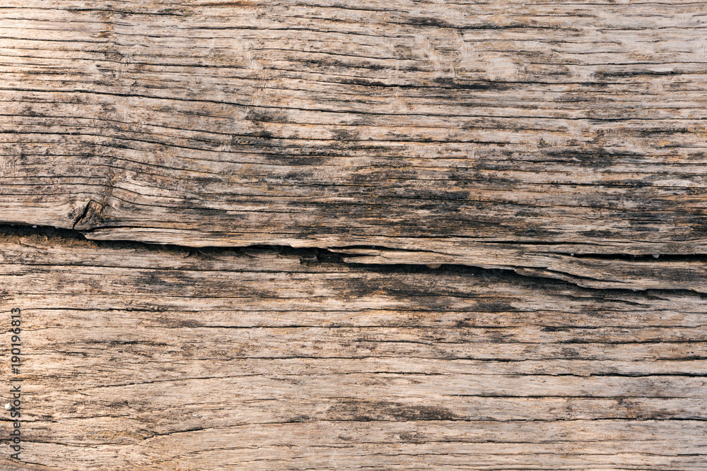 Close-up - old gray shabby wooden board surface. Background image. Conceptual wallpaper Close-up - old gray shabby wooden board surface. Background image. Conceptual wallpaper