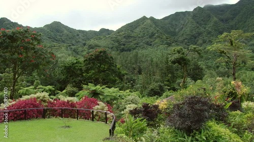 View of lush green rainforest on mountain s on the island of Saint Vincent photo