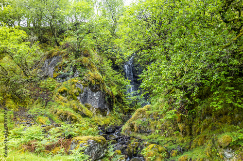 Fototapeta Naklejka Na Ścianę i Meble -  Waterfall on the mountain pass between Ardchattan and Barcaldine in Argyll