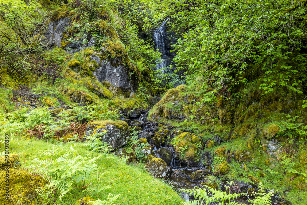 Waterfall on the mountain pass between Ardchattan and Barcaldine in Argyll Waterfall on the mountain pass between Ardchattan and Barcaldine in Argyll