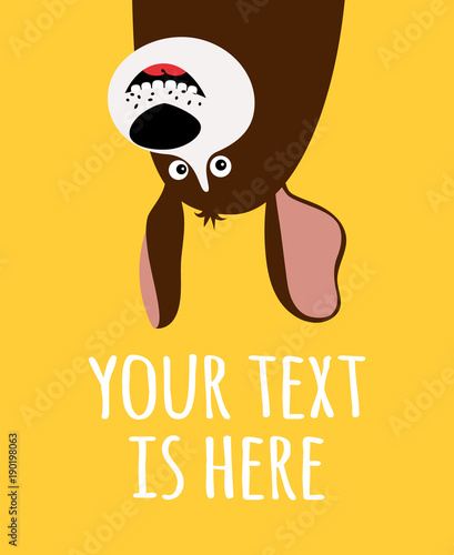 Card with funny cartoon dog