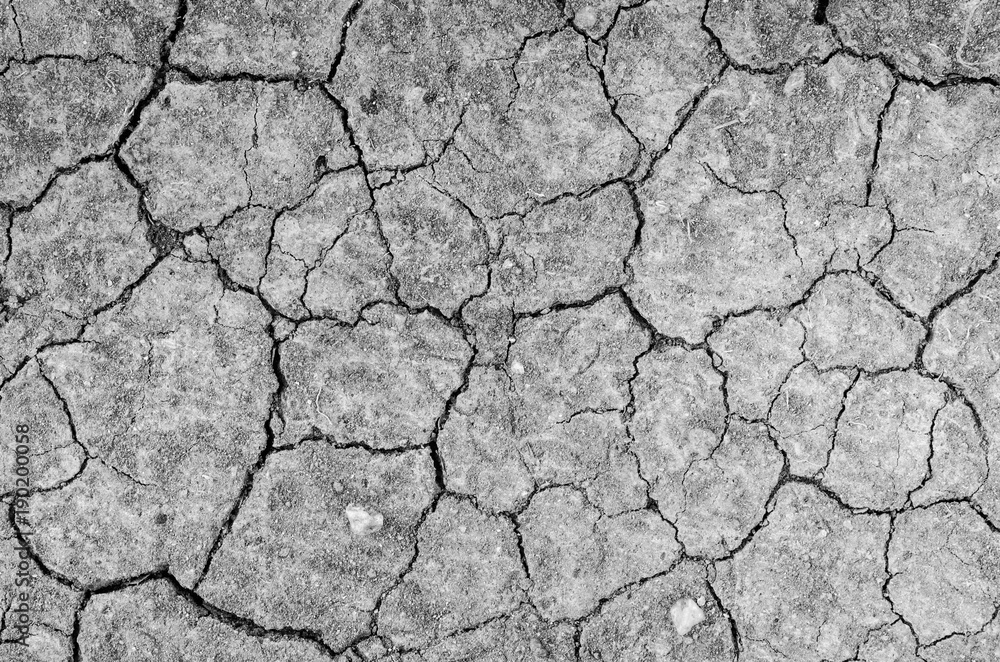 Crack ground texture. Crack ground texture.