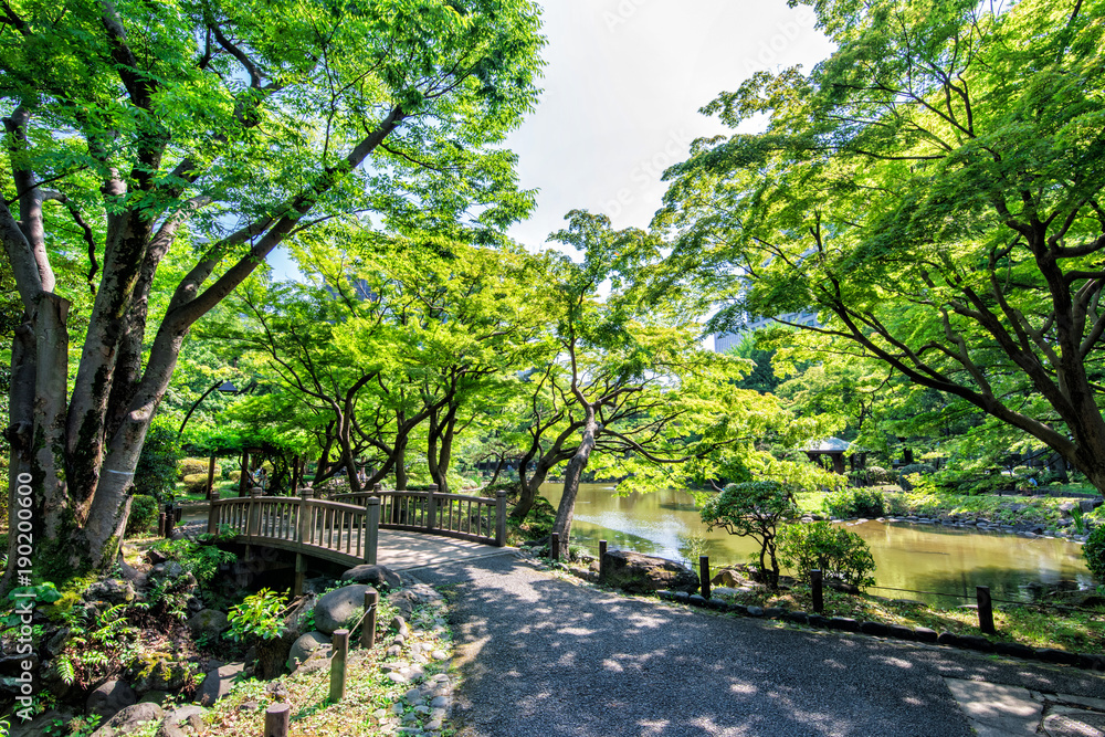 新緑の日比谷公園 新緑の日比谷公園