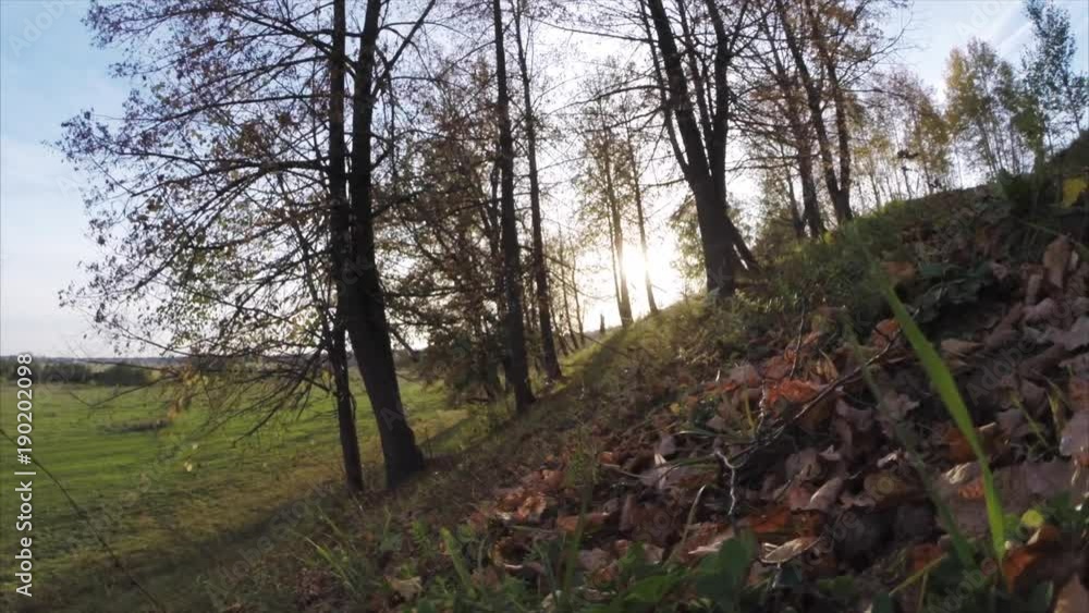 Autumn small hill with trees and sun Autumn small hill with trees and sun