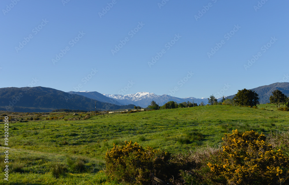 Meadows with mountain view in New Zealand