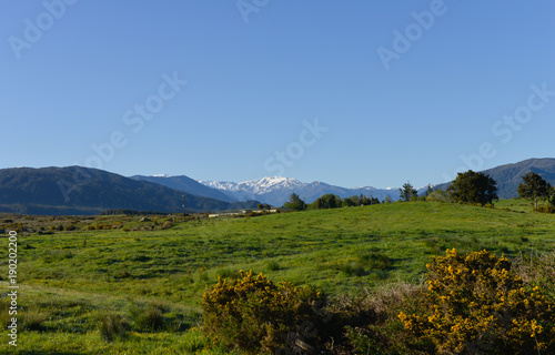 Meadows with mountain view in New Zealand