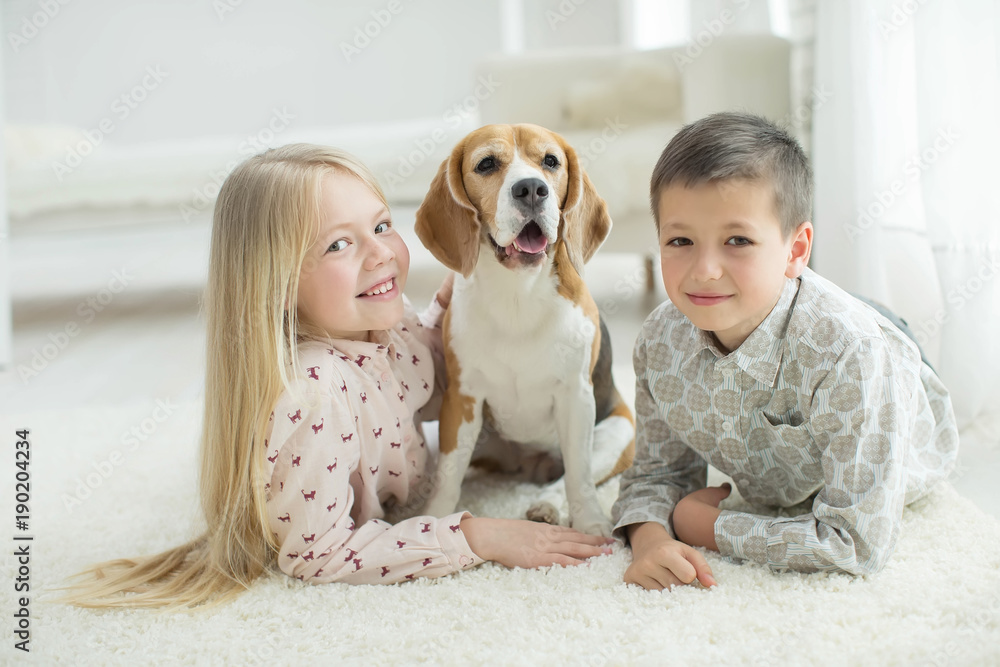 Children with a dog
Children with a dog