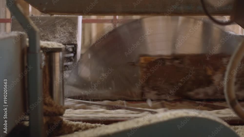 Spinning industrial saw cutting log on boards at woodwork machine, lots of sawdust, slowmotion Spinning industrial saw cutting log on boards at woodwork machine, lots of sawdust, slowmotion