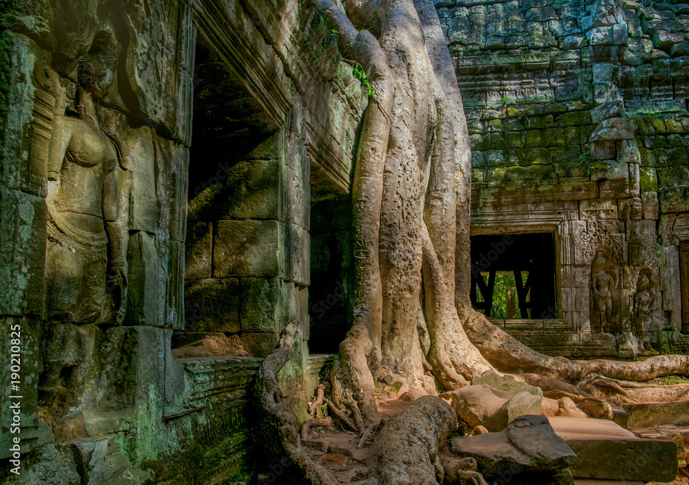Details of decoration in ancient temple of Angkor Wat in Cambodia