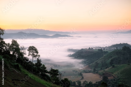 Fog in mountains. Fantasy and nature landscape. Nature conceptual image.