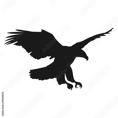 flying eagle vector illustration black silhouette