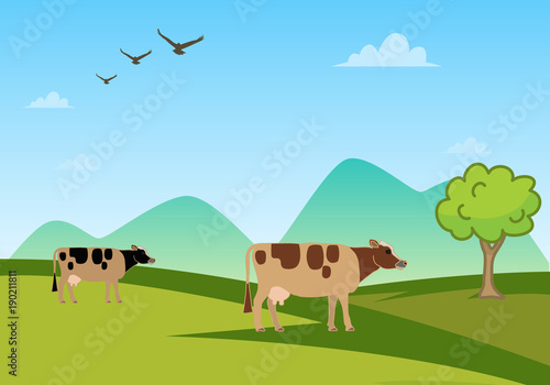 alpine cows