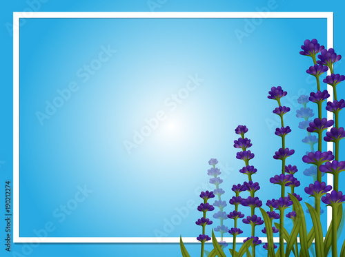 Border template with lavender flowers