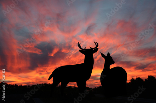 Buck and Doe Whitetail Deer Silhoetted Against A Spectacular Evening Sunset photo
