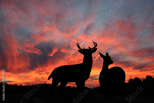 Buck and Doe Whitetail Deer Silhoetted Against A Spectacular Evening Sunset