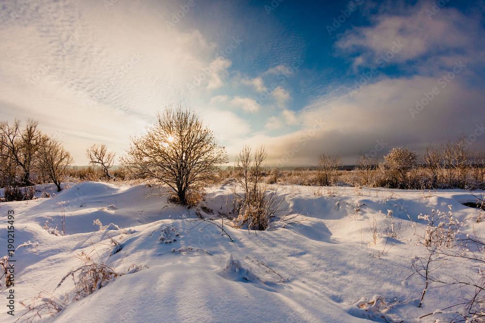 Beautiful winter landscape at the morning Beautiful winter landscape at the morning
