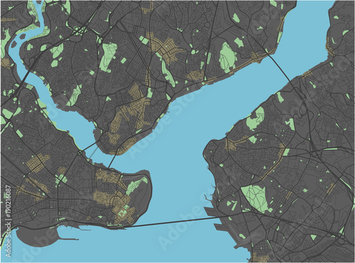 Istanbul vector map with dark colors.