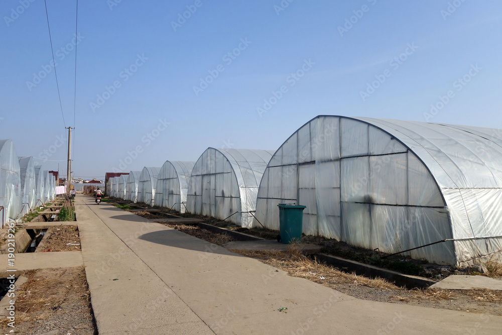 Large greenhouse for plants in the autumn