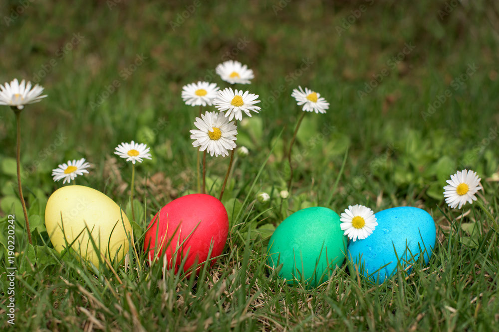 Fototapeta premium Easter eggs in a row on the grass