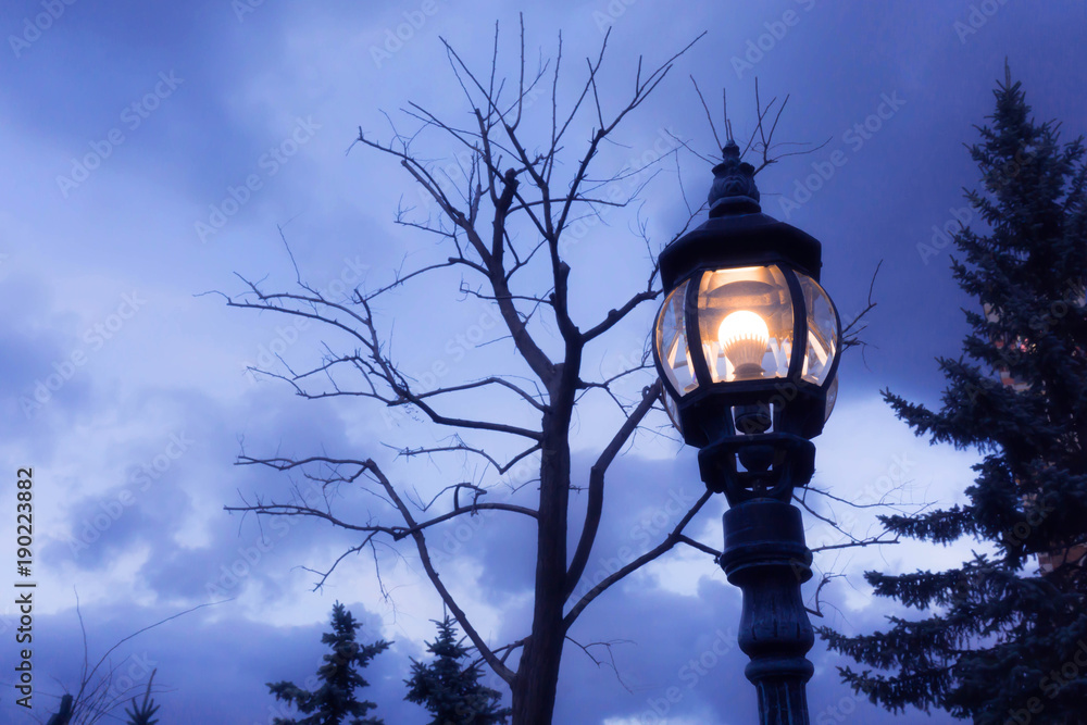 street lamp at public park in the night