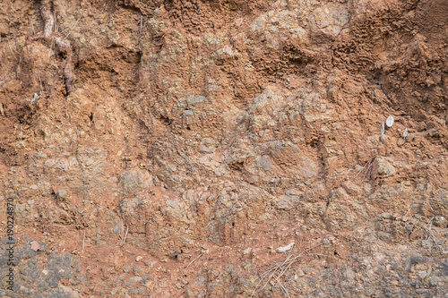 A texture of stones, also suitable as a background