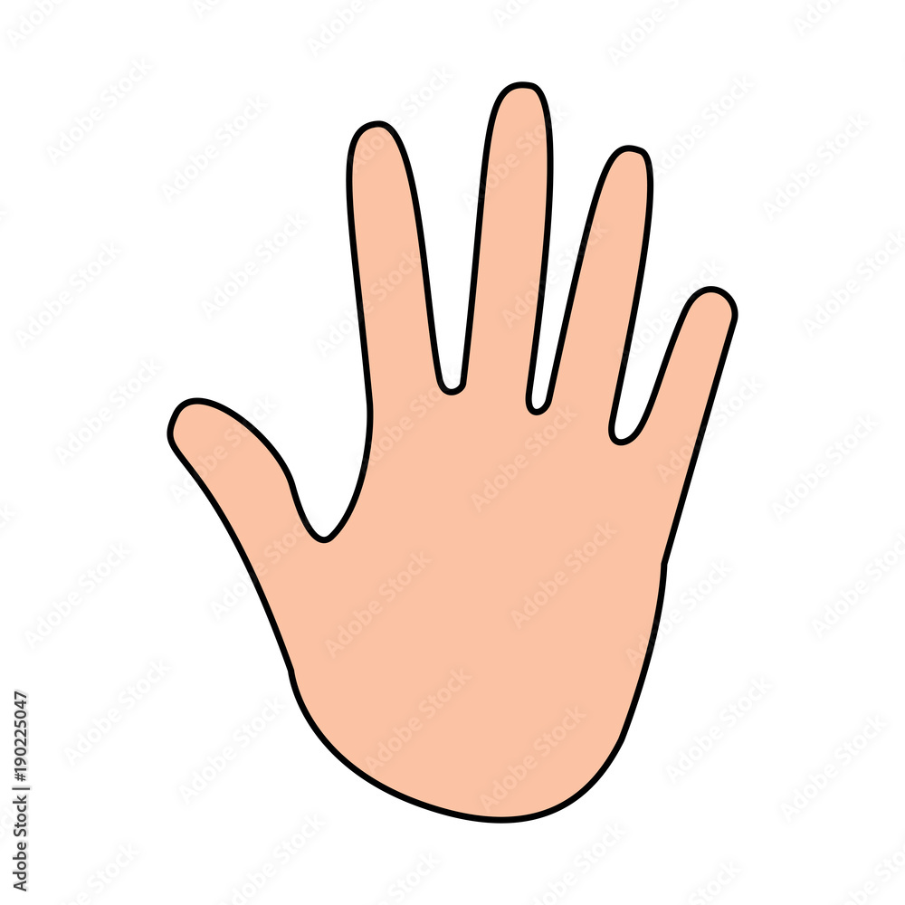 human hand showing five fingers open vector illustration human hand showing five fingers open vector illustration