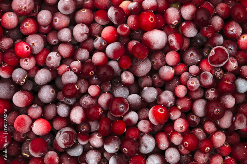 Wallpaper Mural Frozen cranberries covered with rime. Torontodigital.ca