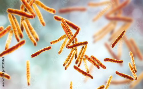 Bacteria Mycobacterium tuberculosis, the causative agent of tuberculosis, 3D illustration photo