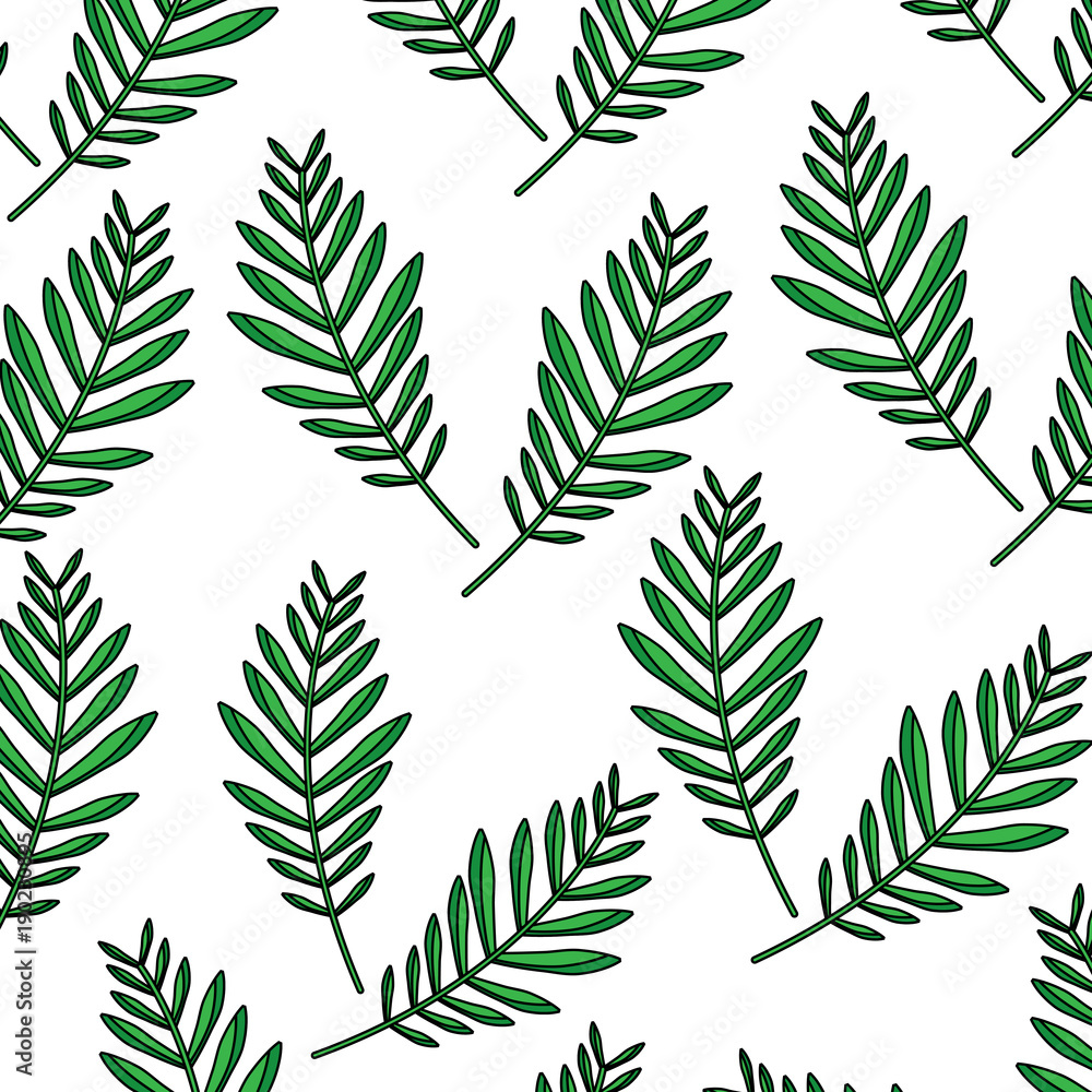 pattern design branch palm leaves nature decoration vector illustration pattern design branch palm leaves nature decoration vector illustration