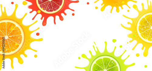 Banner with Citrus Fruits and Splash Juice
