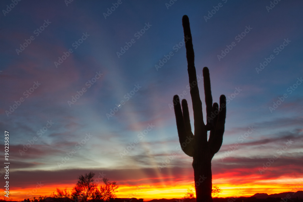 A brilliant sunset with a saguaro cactus silhouetted in the foreground.