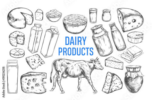 Dairy products vector collection. Cow, milk products, cheese , butter, sour cream, curd, yogurt. Farm foods. Farm landscape with cow. Hand drawn illustration Isolated objects on white