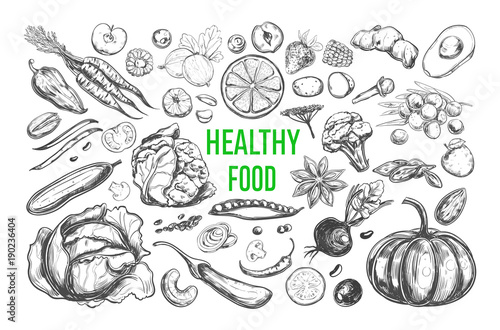 Healthy food. Vegetarian Big Set. Vector hand drawn isolated elements on white. Sketch style